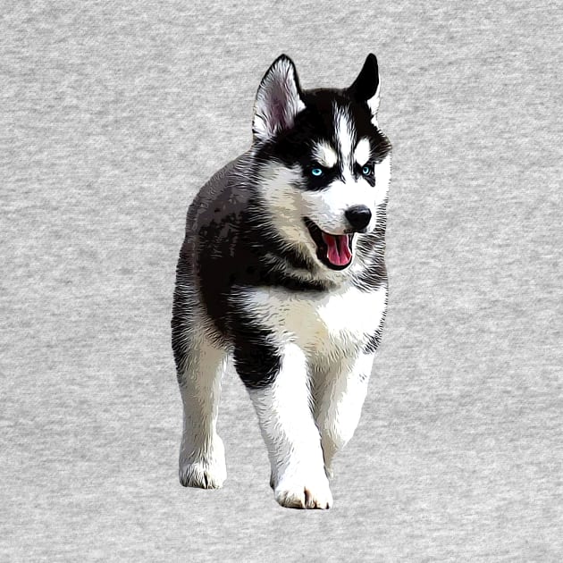 Siberian Husky Puppy Dog by Elarex